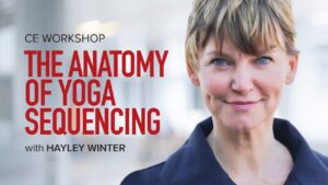 CE Workshop | The Anatomy of Yoga Sequencing