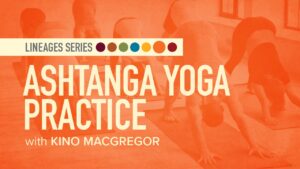 Yoga Lineages | Ashtanga Yoga Practice